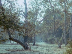 Casanova - 1977 (Restored)