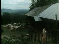 Fabodjantan 1978 swedish classic