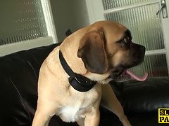 Sadomasoquismo, Británico, Dominación, Fetiche, Falda, Esclavo, Tatuaje, Bajo la falda