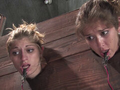 Two Tied Up Sluts Screaming in Pain and Excitement in BDSM Sex