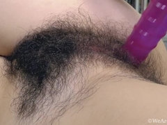 Kont, Bruinharig, Harig, Ondergoed, Masturbatie, Dikke tepels, Vibrator