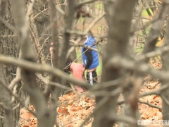 Leie, Braunhaarige, Im freien, Öffentlich, Spion