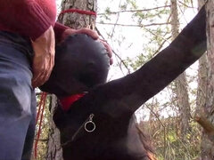 Amateur, Sucer une bite, Bondage, Brunette brune, Gorge profonde, De plein air, Petite femme, Attachée