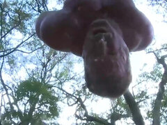 ゲイ, 苦痛, 拘束