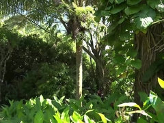 Strand, Bruinharig, Jurk, Vingeren, Vriendin, Kut duiken, Geschoren, Tieten likken