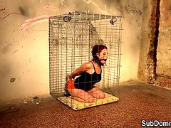 Bondage discipline sadomasochisme, Dichtbij, Dominatie, Fetisj, Betast, Hd, Zoon