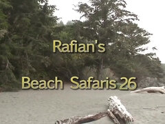 arousing couples on the beach - high-resolution porn