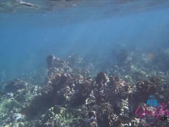 Strand, Badpak, Blond, Flashing, Vriendin, Buiten, Tieten likken, Nat