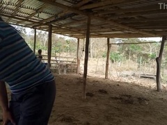 Tetas grandes, Granja, Primera ves, Casero, Madres para coger, Tetas naturales, Hijo, Tetas