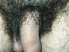 Do you like my hairy virgin dick?