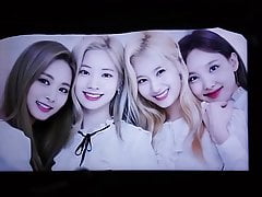 Twice - Tzuyu, Dahyun, Sana, Nayeon - cum tribute 1