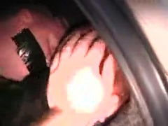 Bodybuilders In Jocks Trade Holds