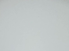 SUPER HOT Vulgar wordy grind stud fap off