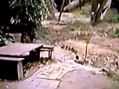 Astonishing Sex Scene Homosexual Vintage Hottest , Watch It