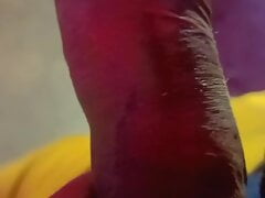 Leaked MMS video of Delhi judge goes viral Big Penis
