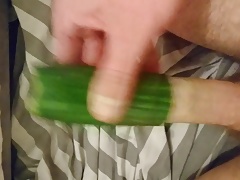 Cucumber wank fuck masturbate sloppy