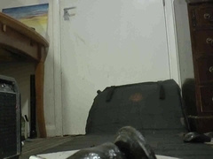 just let me know bif you like this 128