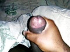 filled With testicle tonic