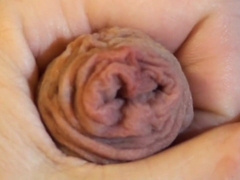 Ma queue en gros plan 5