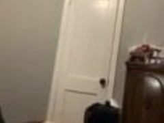 Young Bull Draining With Wordy Explosive Plums At End