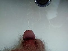 Pissing in the sink