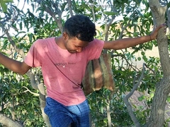 Agriculture Woods Mango tree Assfucker Romantic flick in Hindi language