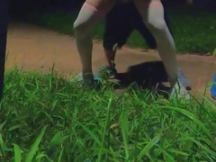 Today's task is to lure passers-by to pound me on the side of the road