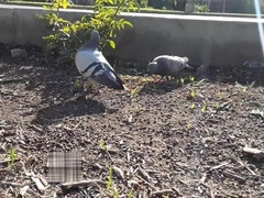 2 Young Boys Fondled & Fucked By HOT HEAD FED