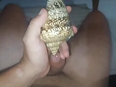 Using the seashell makes the cock very excited until all the milk comes out.