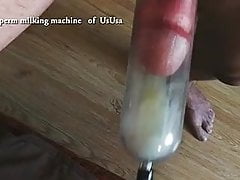 The sperm milking machine of UsUsa