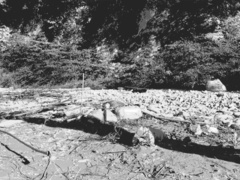 Naturism in the gorge