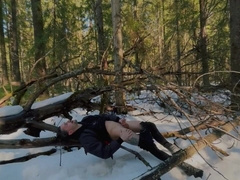 The sun on the branch)