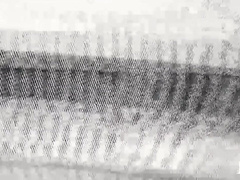 Tatted Bony Lad Barebacks Blondie Jock