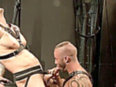 Anál, muscle couple, páry