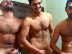 3 turkish otters milking on cam