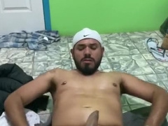 Wolf Brazilian Queer