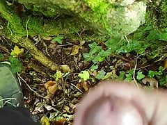Wank and cum in forest