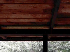 Jacking my giant trunk in an deprived senior shed I've found