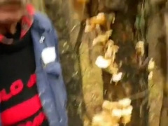 nlboots - promise final year in the forest