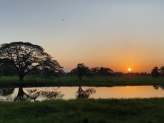FAT WOOLY MANMEAT OF 22CM WELL HAIRLESS AFTER THE BATHROOM