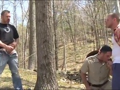 In the woods, bear outdoor, outdoor woods