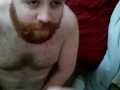 Bears and daddys eating cum