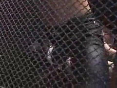 Dungeon Muscle studs