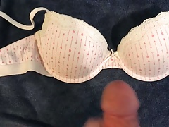Wife's bra