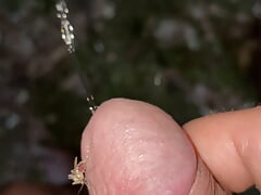 Pissing outside while getting stung on my dick by a mosquito