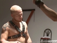 Nick enjoys electrifying stimulation from dominant Luke Moretti