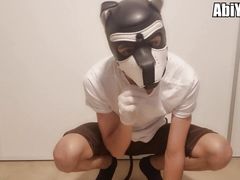 Puppy Barking For The Camara Puppy play , pet play