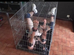 SADISM & MASOCHISM Pornography HD vignette 770