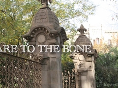 Alejandro Dumas, Lucas Fox And James Castle In Hottest Porn Video Homo Amateur Fantastic , Check It