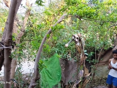 Hilarious Indian Bummer Porno In Hindi